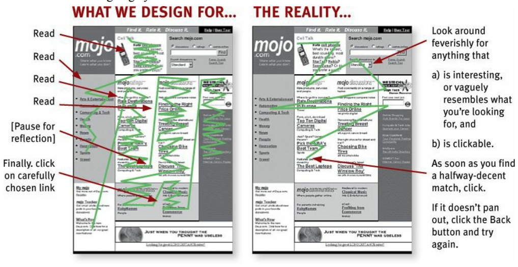 How we design a web page versus how a user will really scan it. From (Krug 2014).